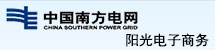 中國南方電網(wǎng)-陽光電子商務(wù)